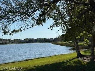 View from walking trail