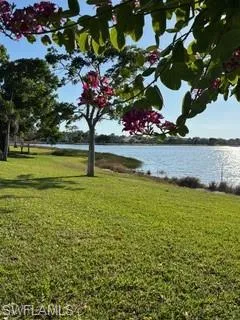 View from walking trail
