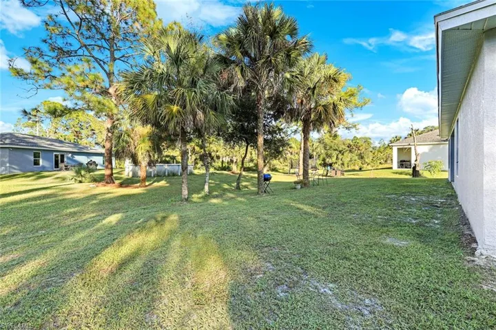 View of grassy yard