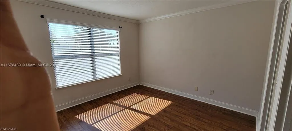 Spare room featuring crown molding and dark wood-type flooring