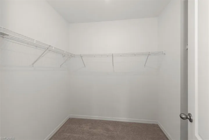 Walk in closet with carpet