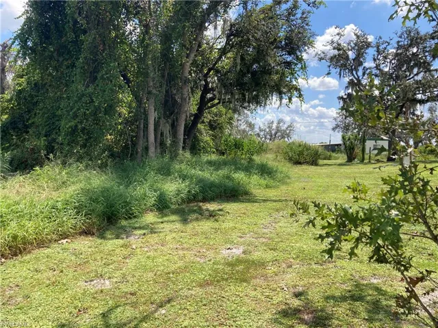 lot picture