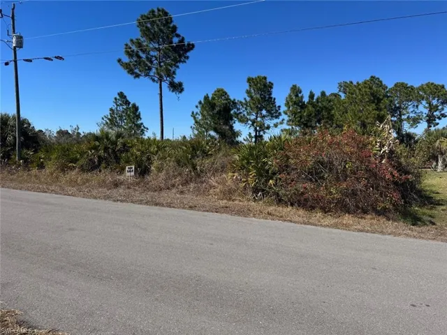 Vacant parcel featuring mature trees, diverse vegetation, and a clear blue sky