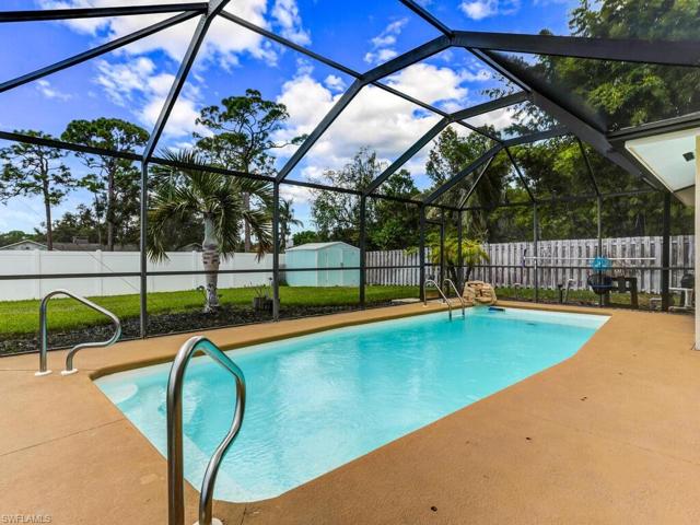 Pool with enclosure