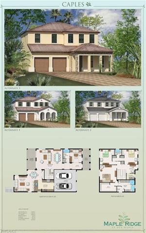 CAPLES MODEL