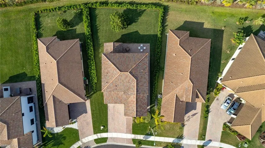 CLUSIA PRIVACY HEDGE FULL PERIMETER