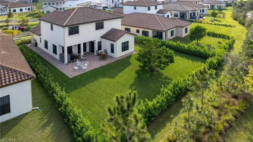 PRIVACY HEDGE