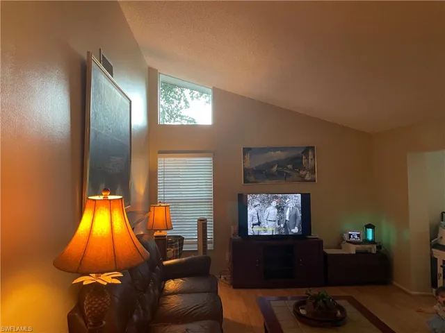 Living room featuring wood finished floors and high vaulted ceiling