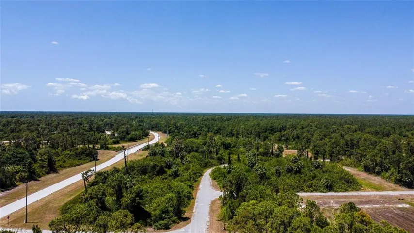 Birds eye view of property with a forest view