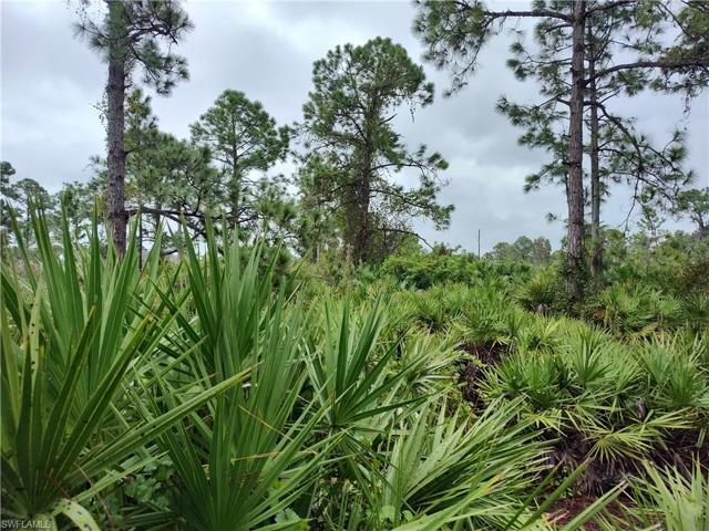 6008  Rena N AVE, LEHIGH ACRES, FL 33971