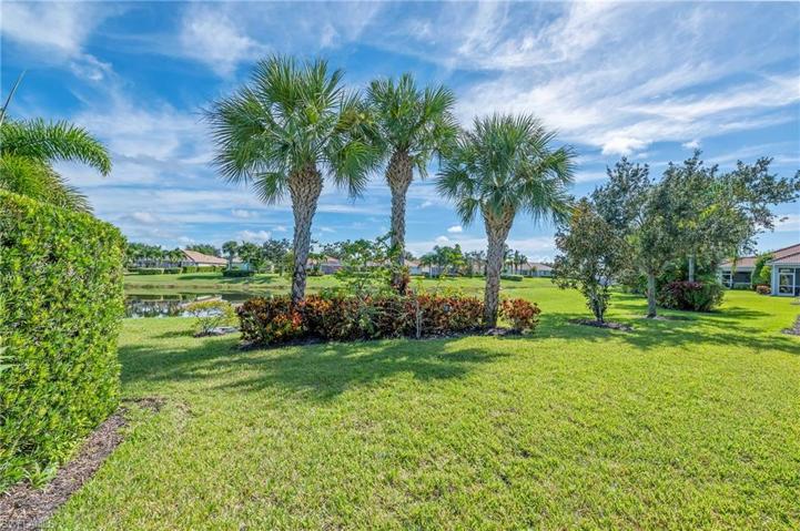 28559 Guinivere Way Bonita Springs FL 34135  - Backyard