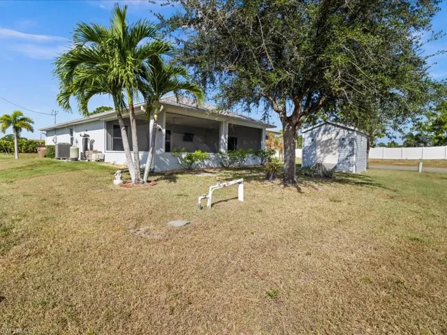 Back Yard