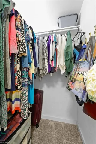 Walk in closet with carpet floors