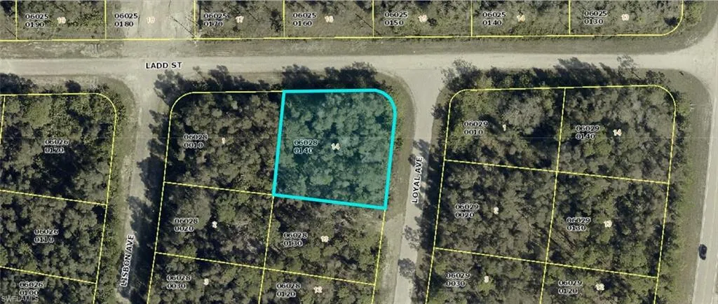 1008 Loyal Ave S, Lehigh Acres, Florida 33974