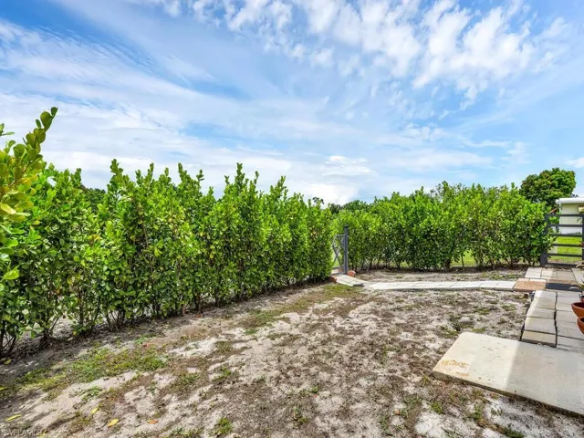 Rear Yard