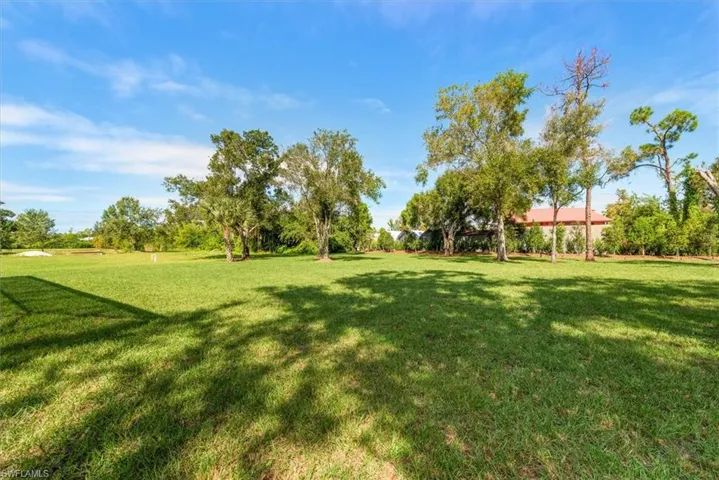View of grassy yard