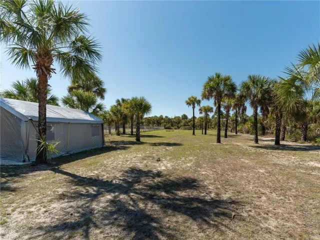 View of grassy yard