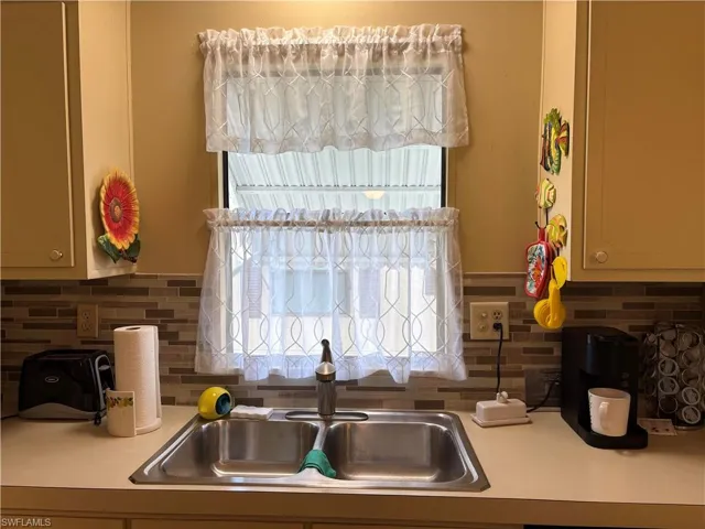 Kitchen sink/window