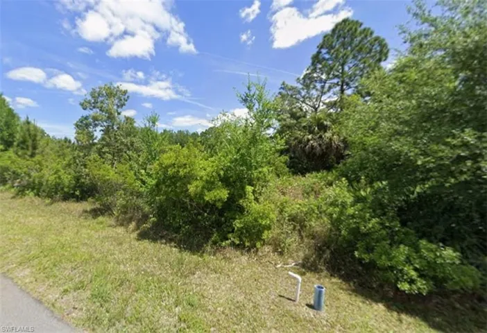 238  Norseman NW AVE, Lake Placid, FL 33852