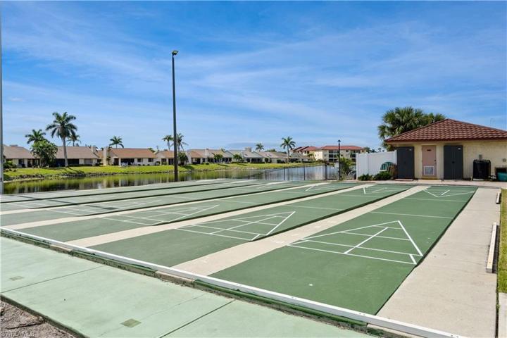 Shuffleboard
