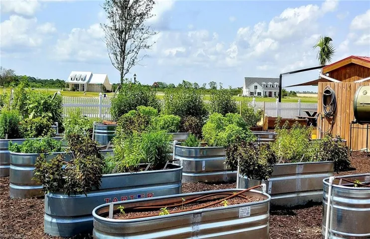 Babcock Ranch Town Community Garden