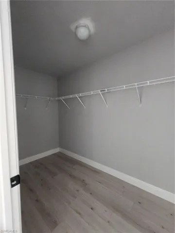 Spacious closet featuring hardwood / wood-style flooring