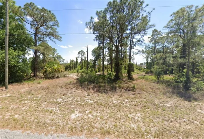 View of undeveloped land