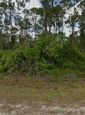View of undeveloped land