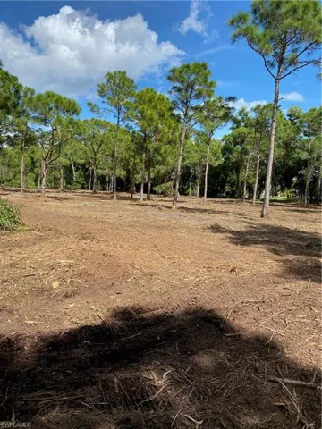 Photos from land clearing in November 2022