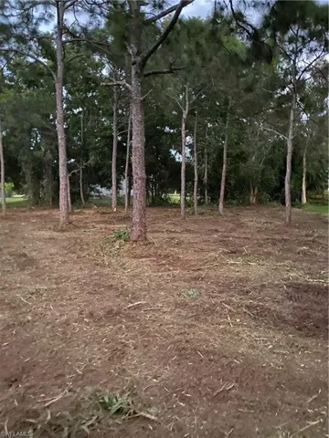 Photos from land clearing in November 2022