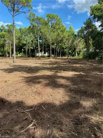 Photos from land clearing in November 2022