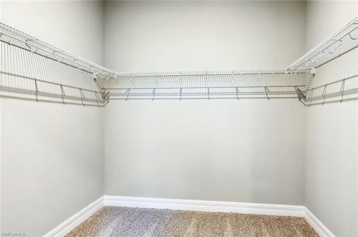 Spacious closet featuring carpet