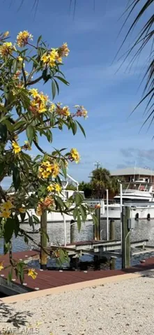 3123 Bracci Dr, St. James City, Florida 33956