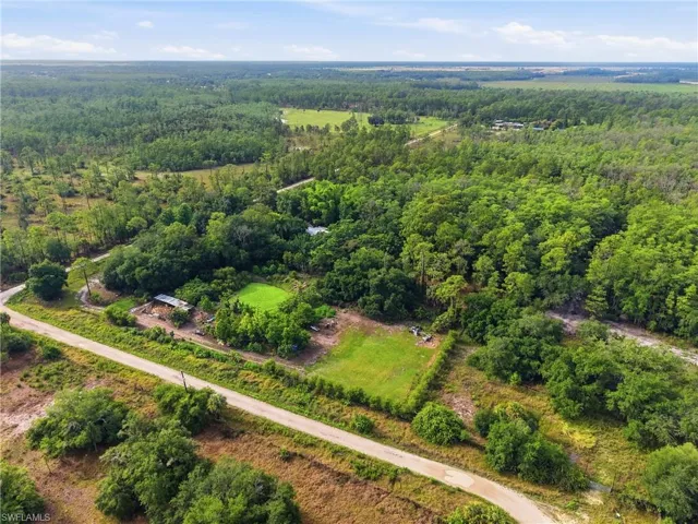 Expansive aerial property featuring a vast tree canopy, two cleared green spaces, and an unpaved road