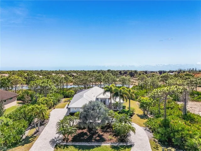 Bird's eye view of a tree filled landscape