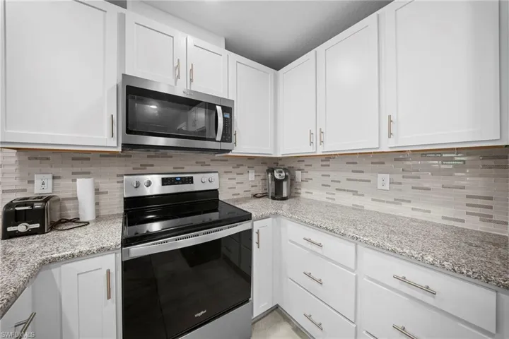 15121  piping plover  CT, North Fort Myers, FL 33917