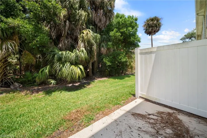 15121  piping plover  CT, North Fort Myers, FL 33917