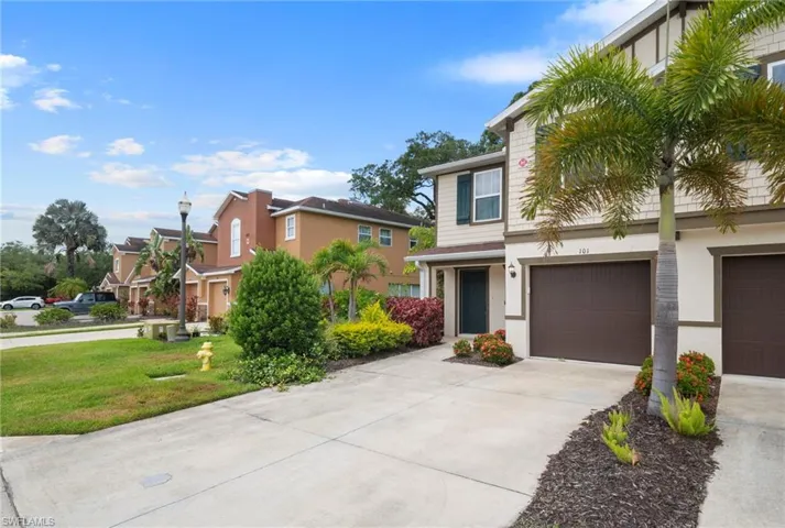 15121  piping plover  CT, North Fort Myers, FL 33917