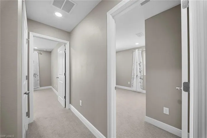 15121  piping plover  CT, North Fort Myers, FL 33917
