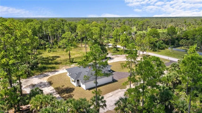 Drone / aerial view of a forest