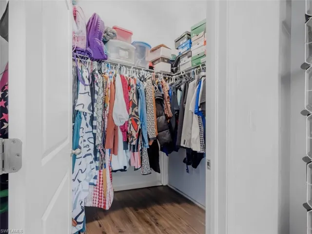 Spacious closet with dark wood finished floors