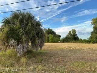 View of undeveloped land