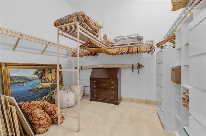 Primary Walk-in closet featuring light carpet