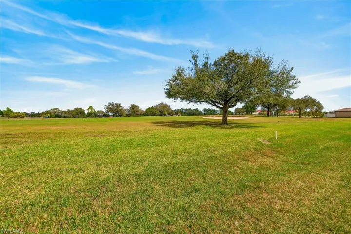 View of green lawn