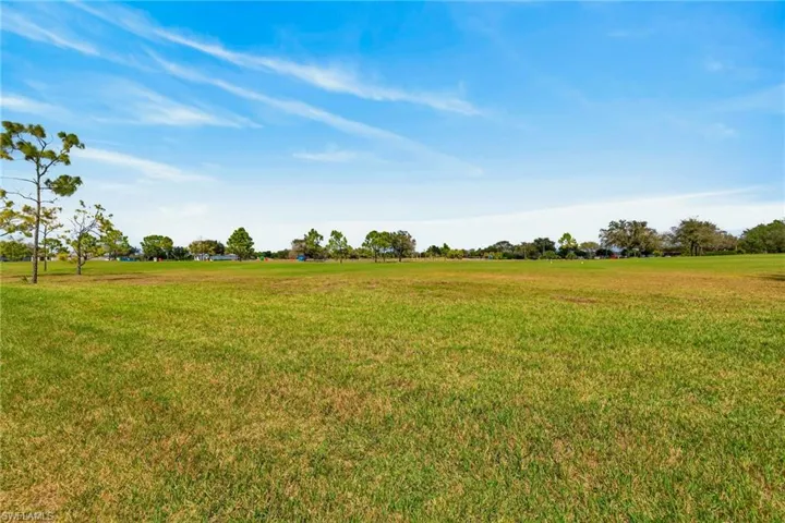 View of grassy yard