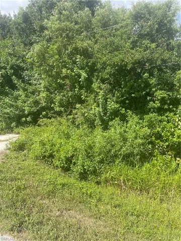 View of nature