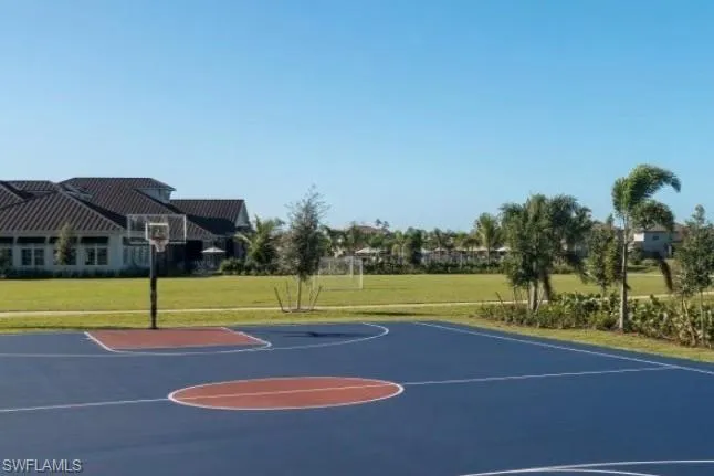 basketball