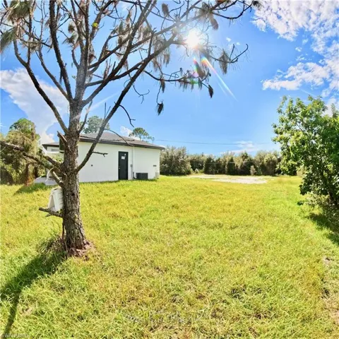 View of grassy yard