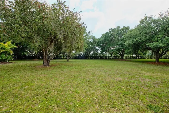 View of part of your green space!  Lots of it to enjoy!  Like having your own private park!