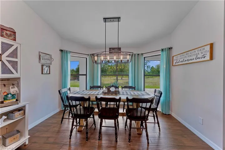 Dining space with dark wood-style floors, a healthy amount of sunlight, and baseboards